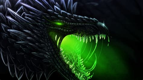 fantasy black dragon closeup photo  mouth open hd