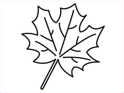 find   awesome collection  maple leaves coloring page