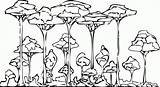 Rainforest Coloring Pages Printable Drawing Forest Trees Rain Clipart Color Colouring Layers Animals Simple Cute Top Getdrawings Print Comments African sketch template