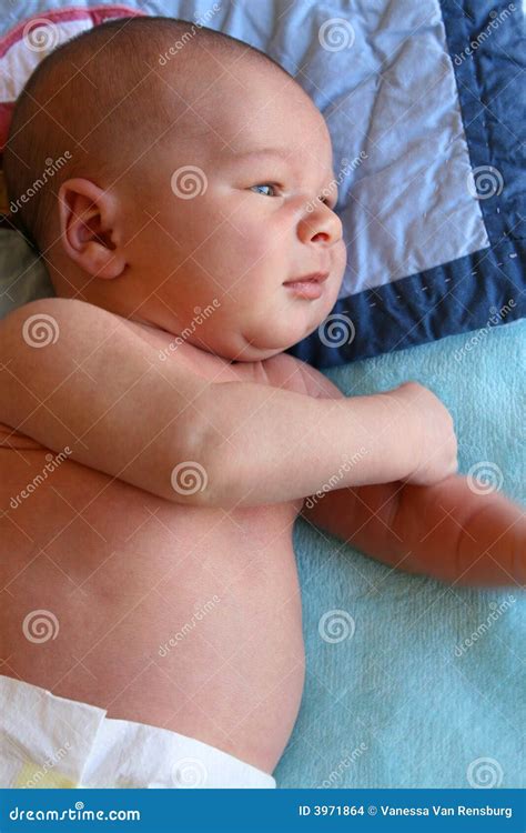 tiny body stock photo image  born fresh baby morning