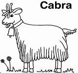 Cabras Cabra Capra Colorat Chevre Ganado Caprino Koza Chevres Kolorowanka Kolorowanki Kozy Animale Domestice Colorea Campana Desene Goats Fise Cabrita sketch template