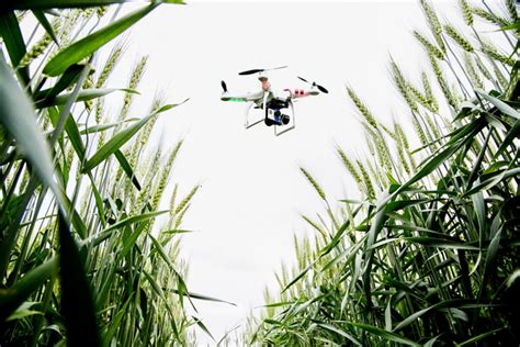drone technology  transform  scenario  indian agriculture igyaan