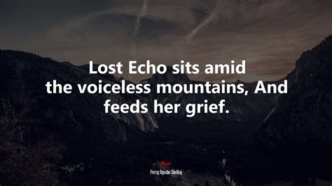 lost echo sits   voiceless mountains  feeds  grief