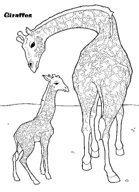 giraffe  baby coloring page coloring book