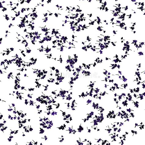 lilac pattern stock illustration illustration  bedeck