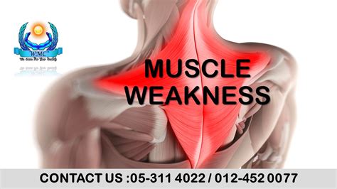 rehabilitation care centre the best muscle weakness rehabilitation in ipoh