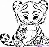 Baby Tiger Coloring Pages Kids sketch template