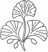 Ginkgo Leaf Stencil Leaves Drawing Template Quiltingstencils Biloba Embroidery Diy Stencils Gourd Flowers sketch template
