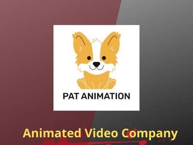 animation companies miami  pat animation  dribbble