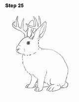 Jackalope Draw Antlers Rabbit Step sketch template