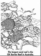 Reef Barrier Coloring Great Coral Pages Drawing Australia Ocean Printable Color Kids Drawings Sheets Choose Board Getdrawings sketch template