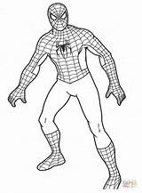 Spiderman Coloring Pages Super Spider Man Print Avengers Colouring Printable Cartoon sketch template
