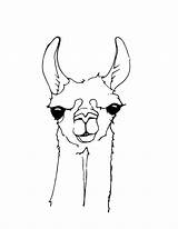 Lama Kolorowanki Dzieci Llamas Alpakas Zeichnung Alpaca Bestcoloringpagesforkids Wydruku sketch template