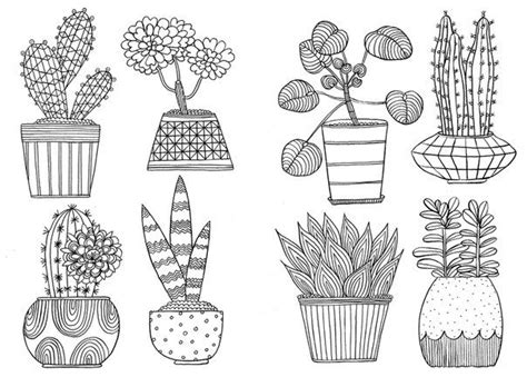 pin  coloring pages