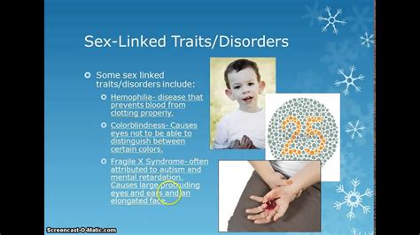 Unit 6 Lesson 1 Sex Linked Traits Disorders Lessons Blendspace