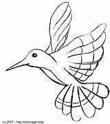 Oiseau Oiseaux Coloriage Colibri Animaux Mouche Coloriages Picaflor Hummingbird Colorier Branche Humming Primanyc Justcolor Colibris Dxf sketch template