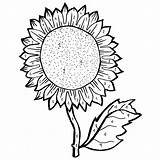 Sunflower Coloring Pages Sunflowers Drawing Adults Gogh Van Line Color Seed Drawings Sheets Printable Young Getdrawings Template Print Sheet Seeds sketch template