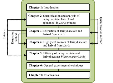 visual outline   thesis chapters  connected  dotted