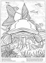 Coloring River Catfish Mississippi Pages Getcolorings Getdrawings sketch template