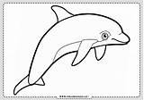 Delfin Delfines Rincon Rincondibujos Actividades sketch template