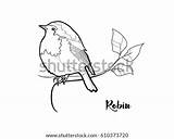 Sparrows sketch template