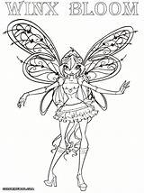 Coloring Winx Pages Bloom sketch template