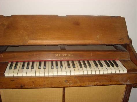 Celeste Musical Instrument I Would Like To Know The