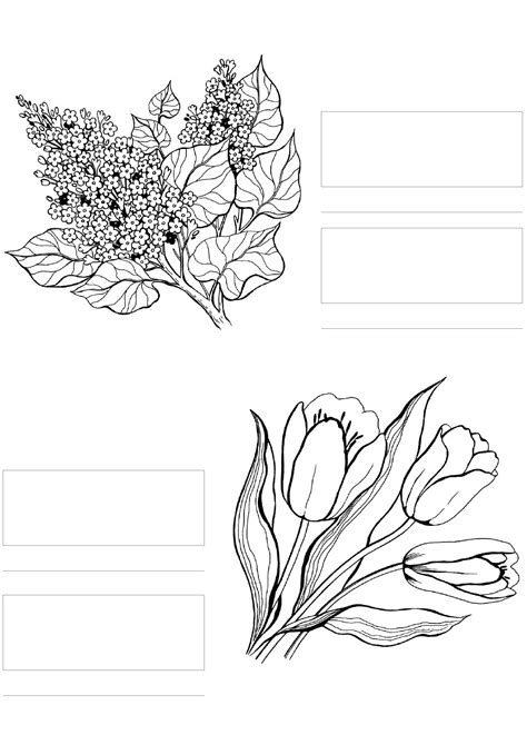 spectrum noir coloring practice template flowers  coloring pages