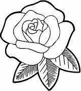 Rose Coloring Bud Pages Getcolorings Color Printable sketch template