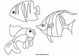 Pesci Colorare Disegni Animali Marini Tuttodisegni Pesce Disegnare Scegli Mosaici Colorato sketch template