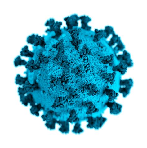 list  bioinformatic tools  coronavirus  covid  research