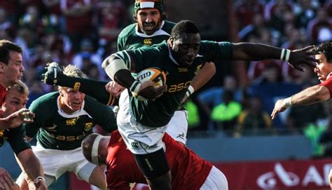 sa rugby suspends  national team training camps sports leo