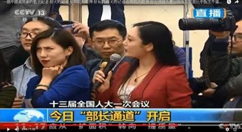 Chinese Reporter Delivers Epic Eye Roll At Fellow Reporter S Dumb