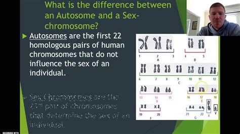 Autosomes V Sex Chromosomes Mr H Youtube