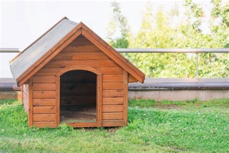 cool diy dog house ideas indoor  outdoor airtasker blog