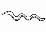 Serpente Schlange Serpiente Slang Malvorlage Ausmalbild Wildschwein Kleurplaten Salamandra Schoolplaten Educima Schulbilder Große Scarica sketch template