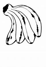 Banane Malvorlage Natureza Websincloud Pudding Carbohydrates Niños L0 Bananas Drucken Activites sketch template