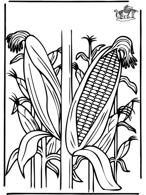 corn plants coloring pages coloring home