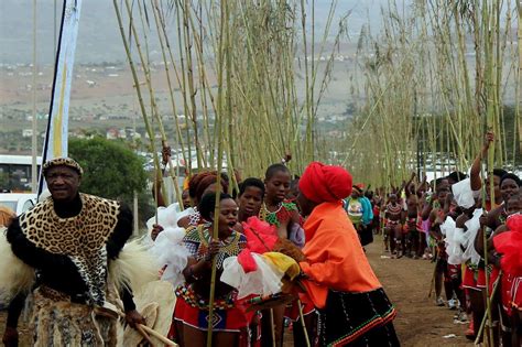 estimated 30 000 maidens attend reed dance zululand observer