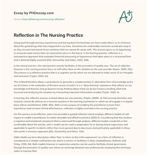 reflection   nursing practice phdessaycom