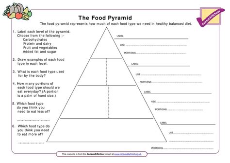 worksheets food pyramid  adults images   finder