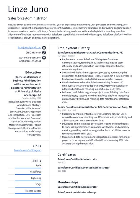 top  salesforce administrator resume objective examples