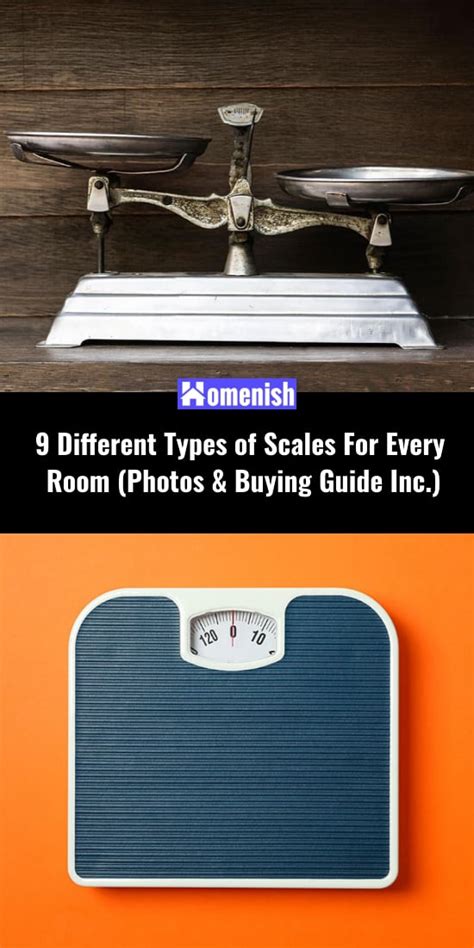 types  scales   room  buying guide  homenish
