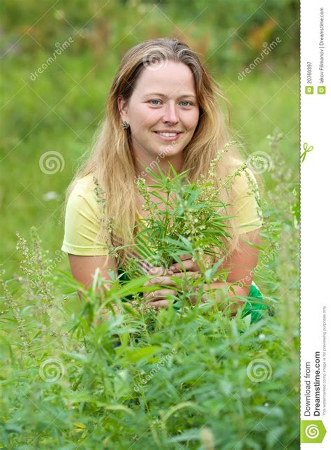 woman at cannabis plant stock image image of green addiction 20760397