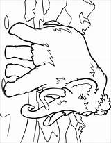Extinct Mammoth Wooly Woolly Tundra Prehistoric Coloringbay Sachunterricht Urgeschichte Libri Designlooter sketch template