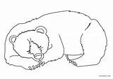 Cool2bkids Bären Baren sketch template