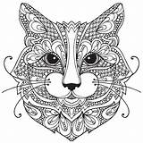 Kleurplaten Katten sketch template