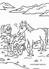 Pferd Malvorlage Ausmalbilder Pferde Malvorlagen Stall Kostenlose Füttern Bauernhof Ausmalen Schleich Kinderbilder Drucken öffnen Grafik sketch template