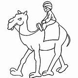 Camello Montando Printable Hormiga Dibujosonline sketch template
