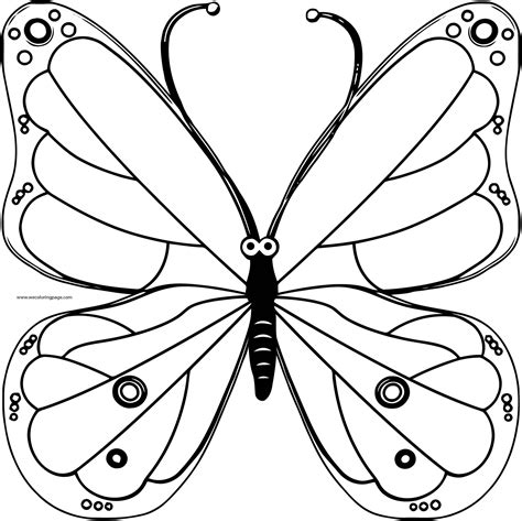 butterfly cycle coloring page life cycle   monarch butterfly